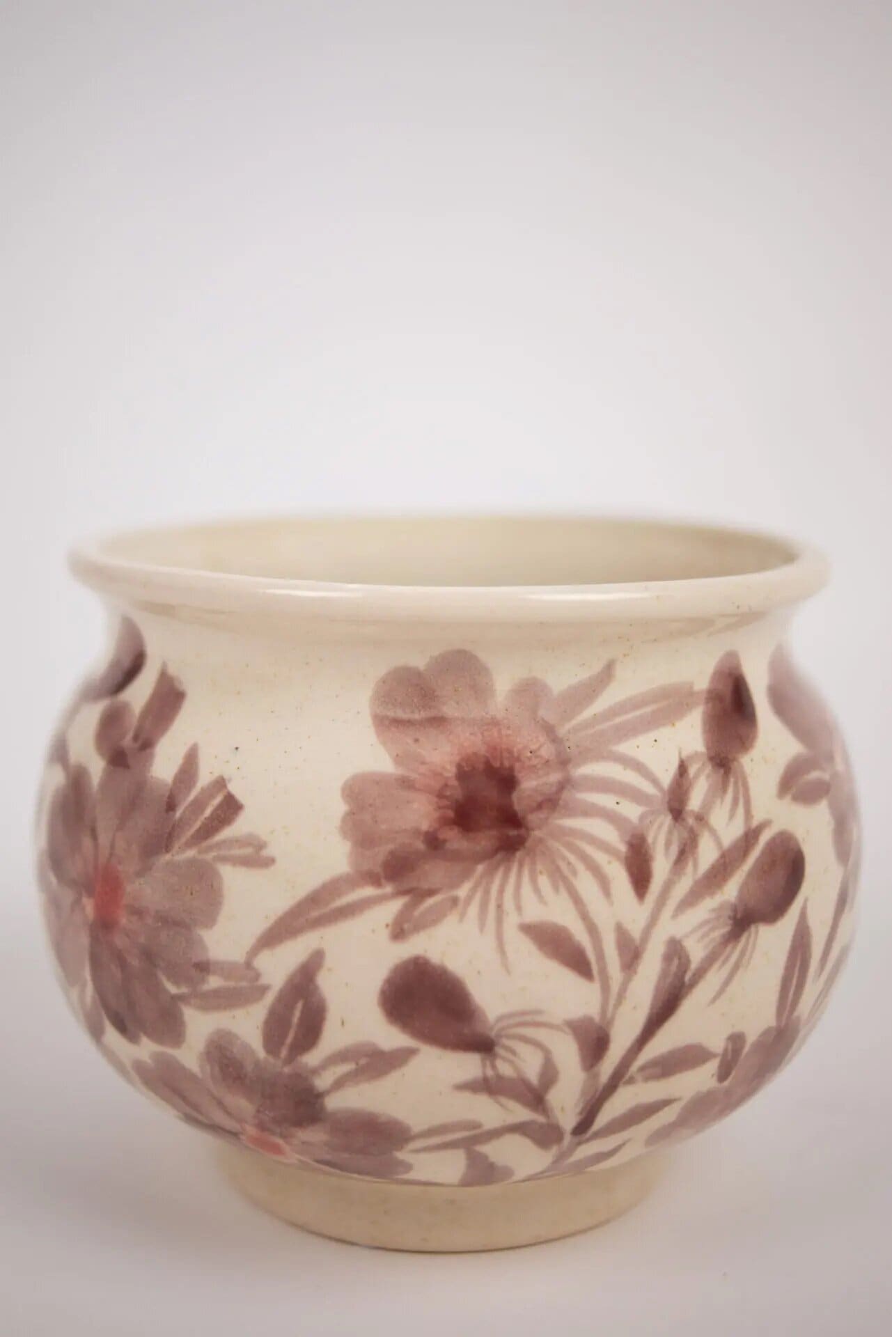 Pot Bellis Low