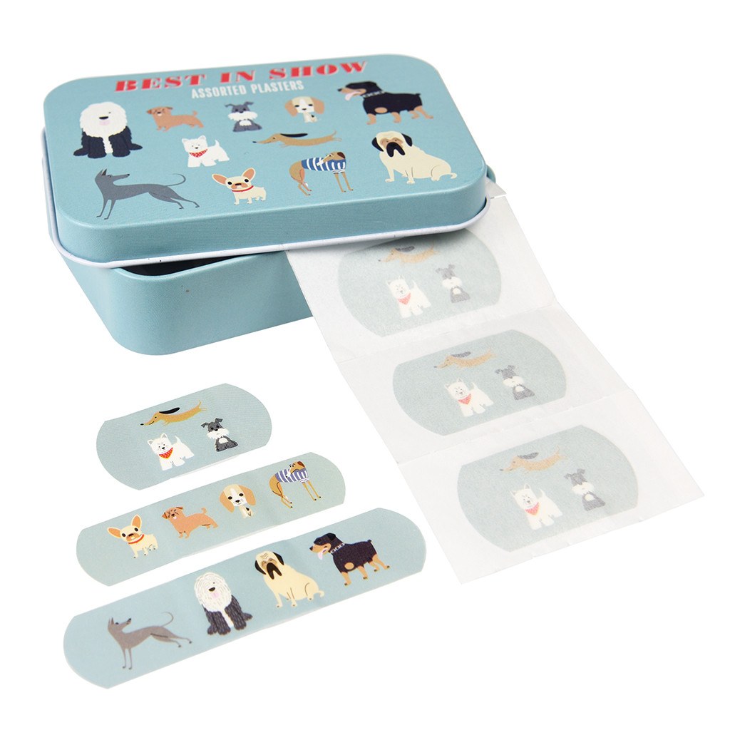 Best In Show Plasters