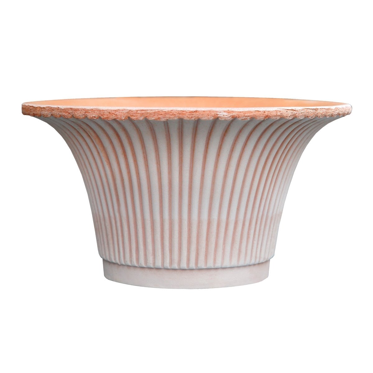 Pot Daisy Pink w. Saucer