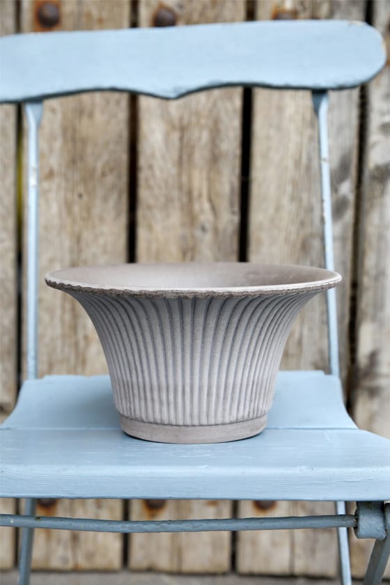 Pot Daisy Grey w. Saucer