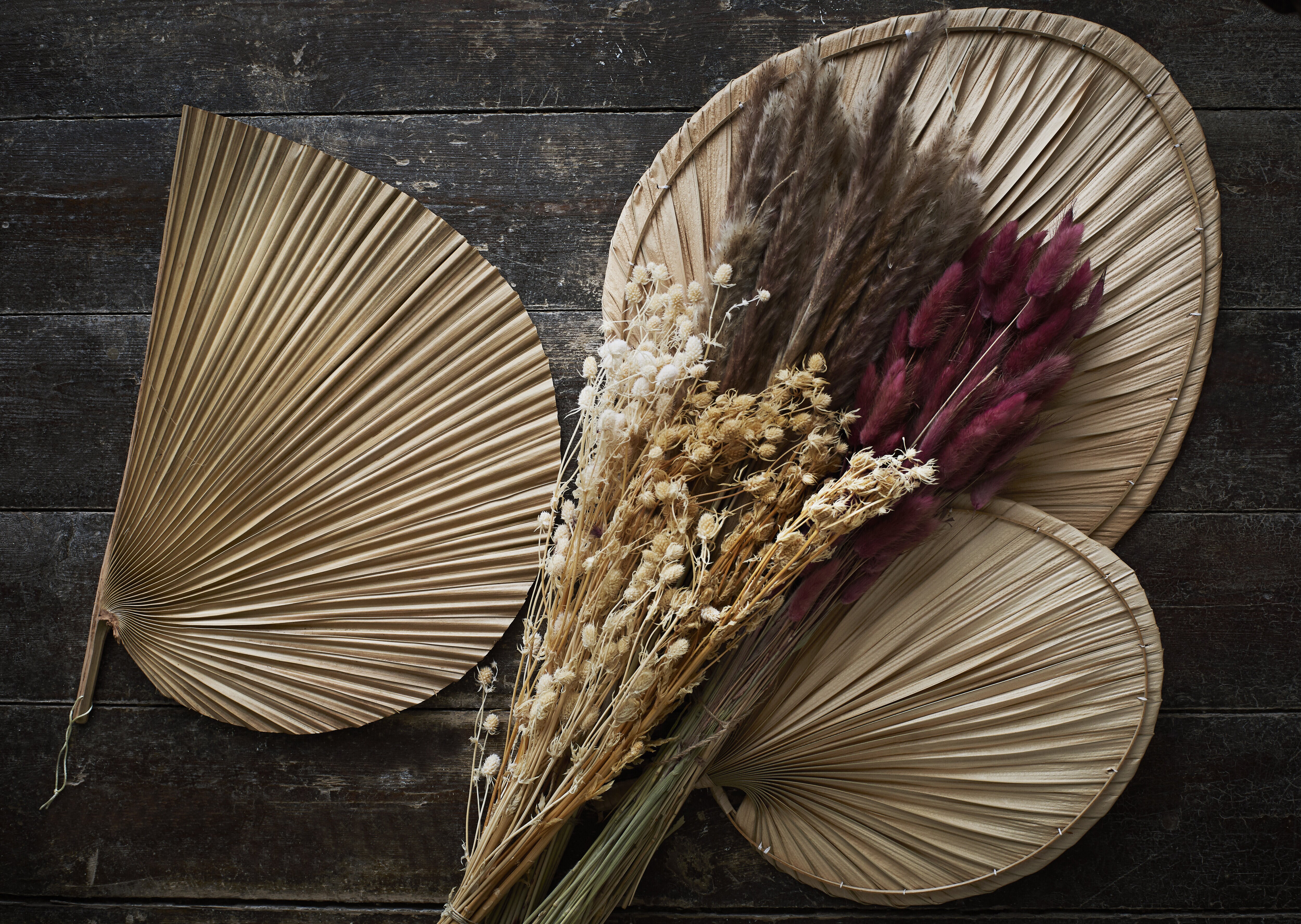 Palm Leaf