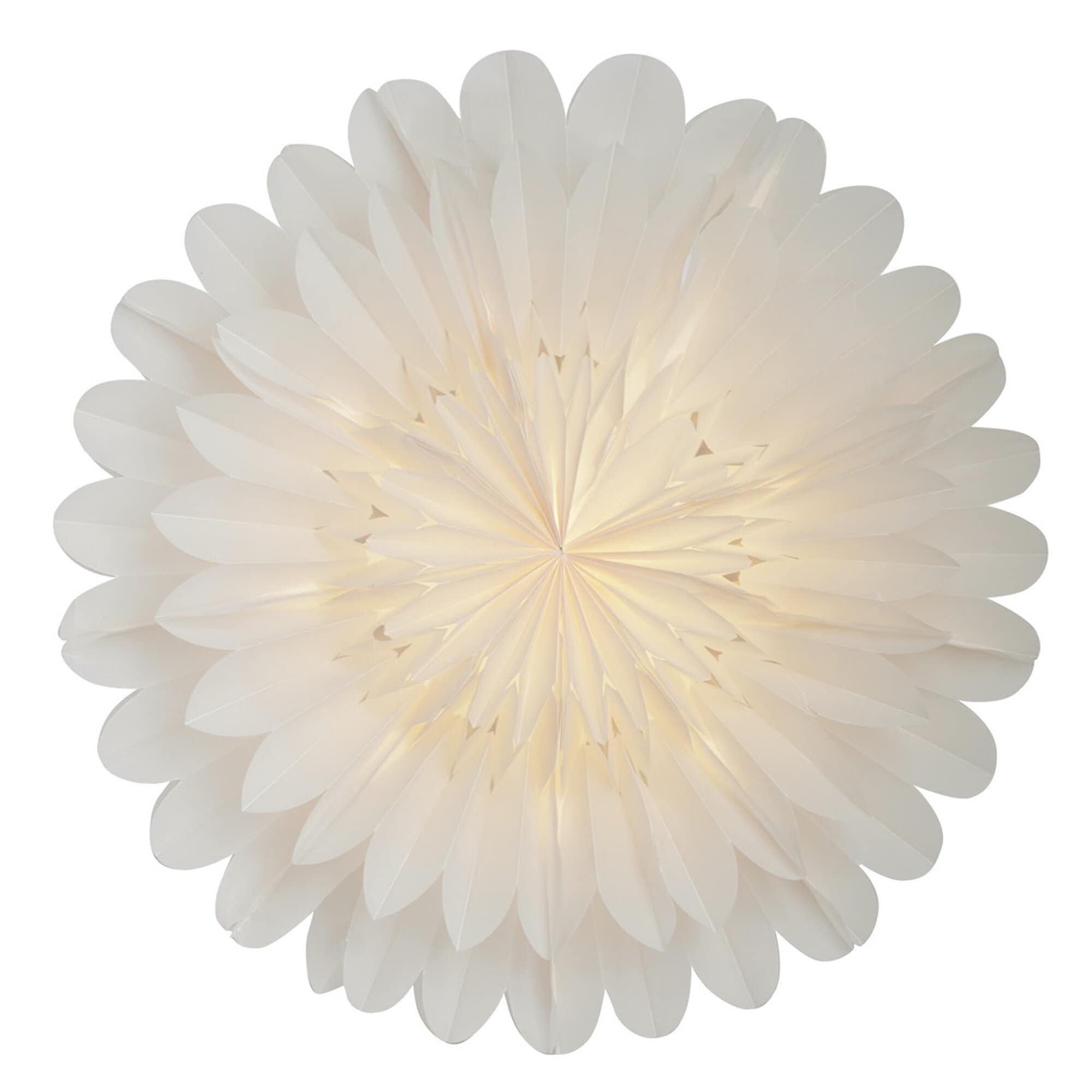 Lotus 60 White Paper Star
