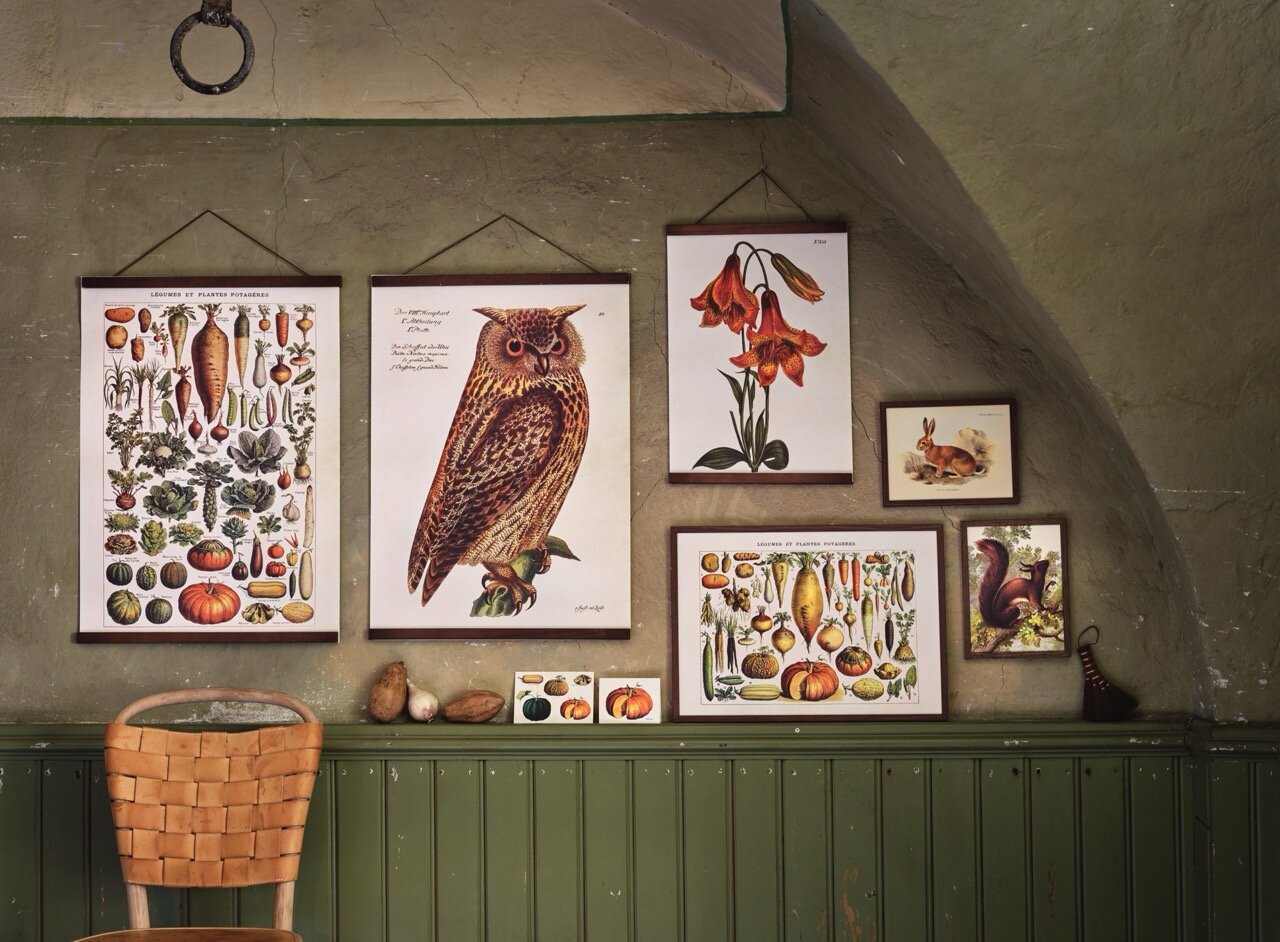 Poster Vegetables Medium