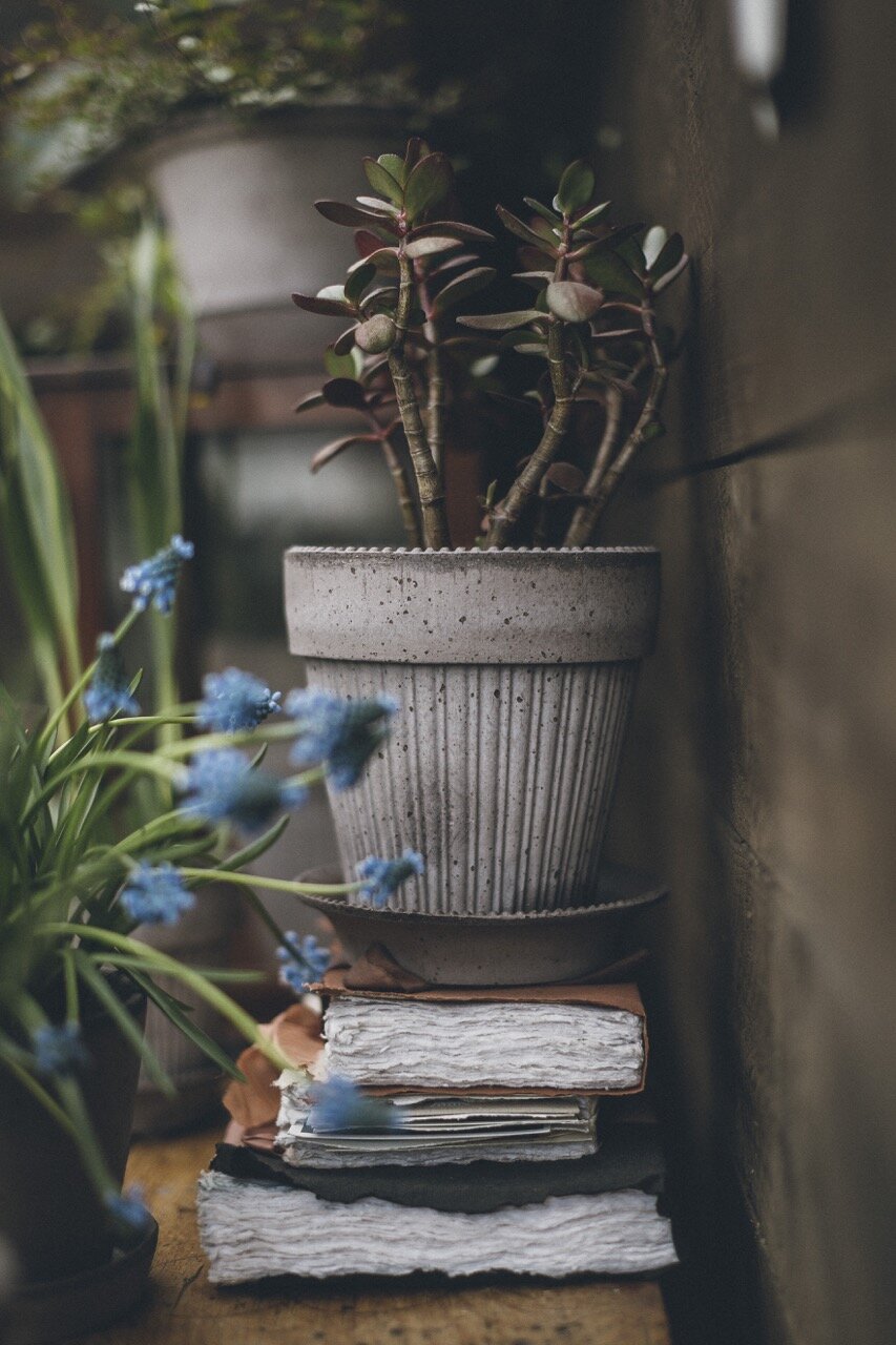 Pot Simona Grey