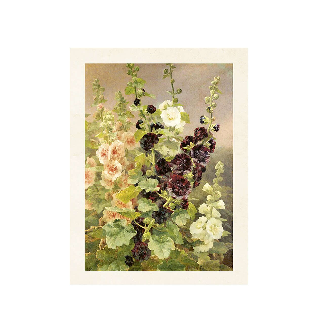 Poster Hollyhocks