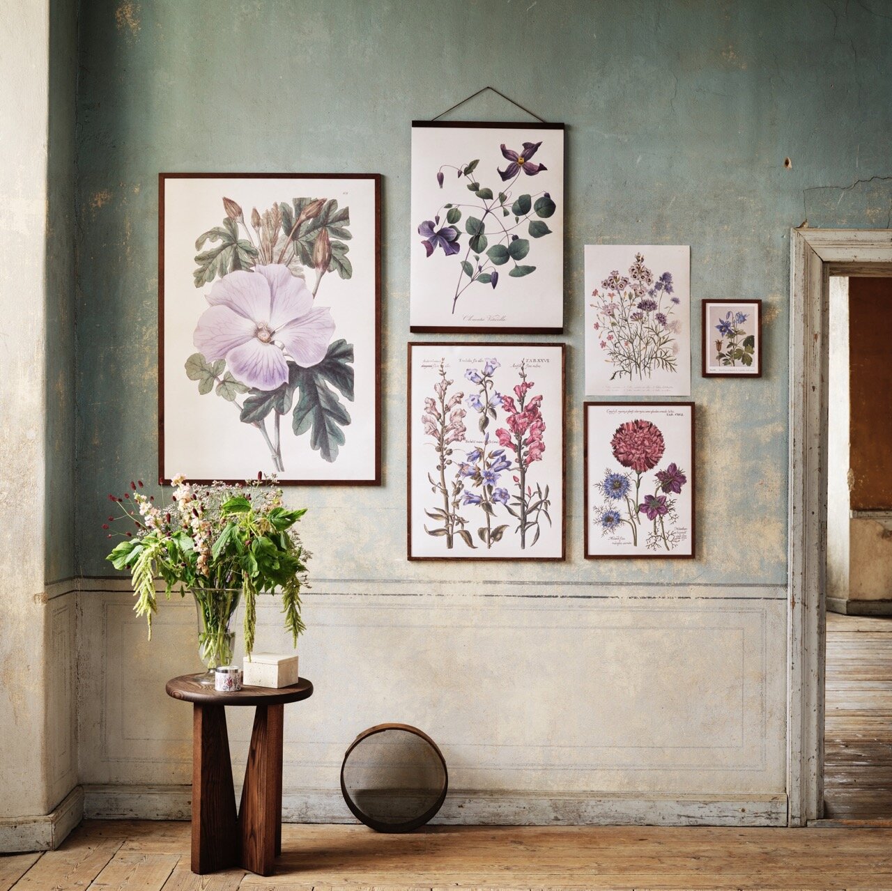 Poster Carnation Rose